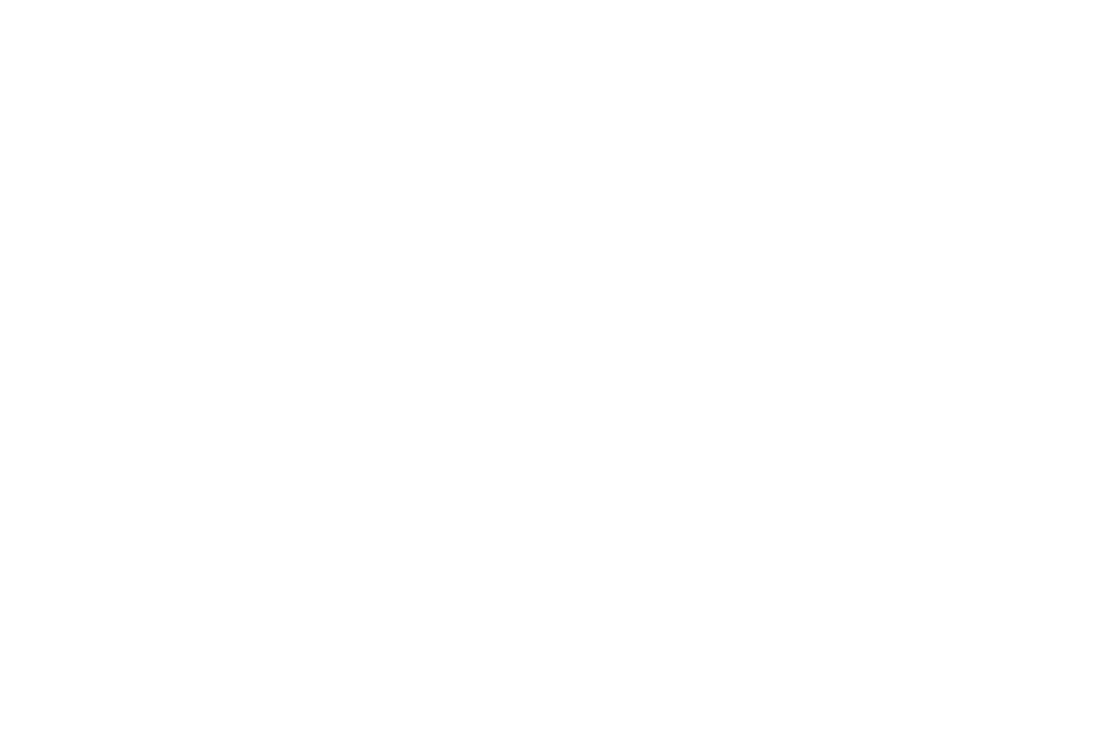 LiveRamp logo pour fonds sombres (PNG transparent)