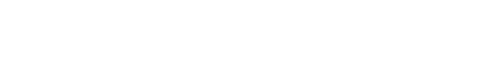 LiveRamp logo large for dark backgrounds (transparent PNG)