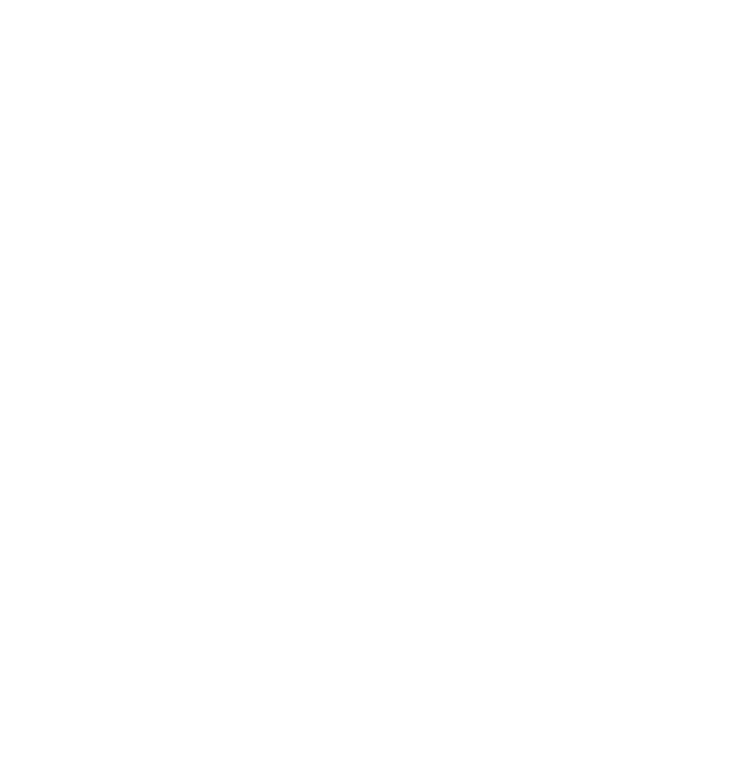 Red Cat Holdings logo on a dark background (transparent PNG)