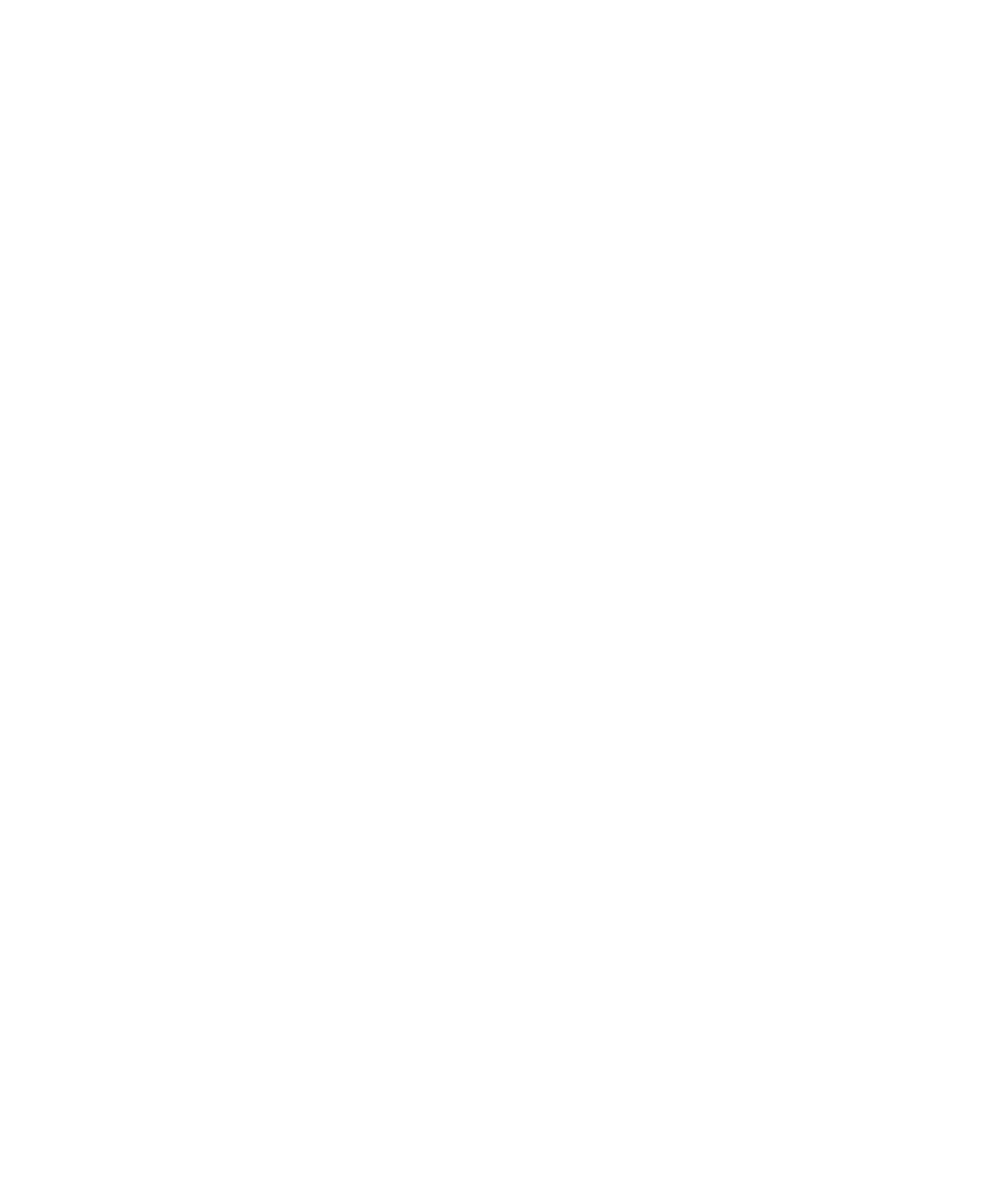 Remitly logo for dark backgrounds (transparent PNG)