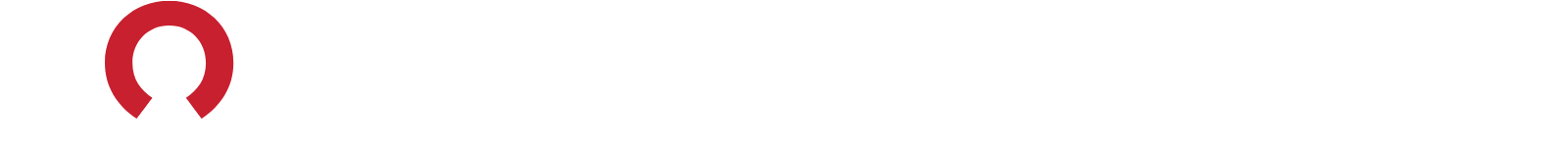 Rocket Companies
 Logo groß für dunkle Hintergründe (transparentes PNG)