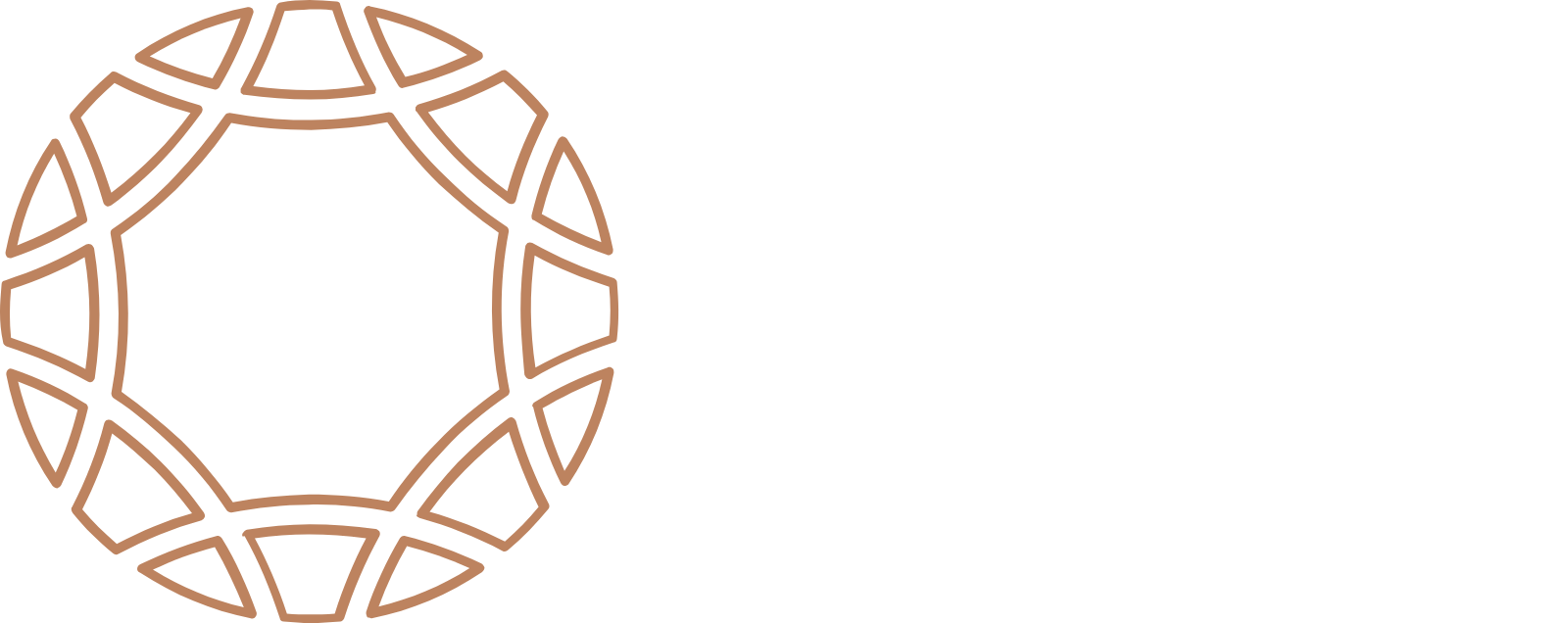 Rand Merchant Investment logo grand pour les fonds sombres (PNG transparent)