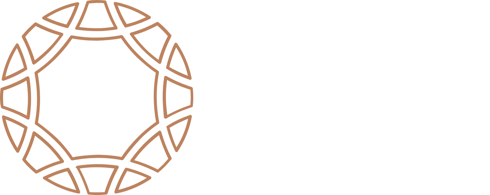 Rand Merchant Investment logo fulle size on a dark background (transparent PNG)