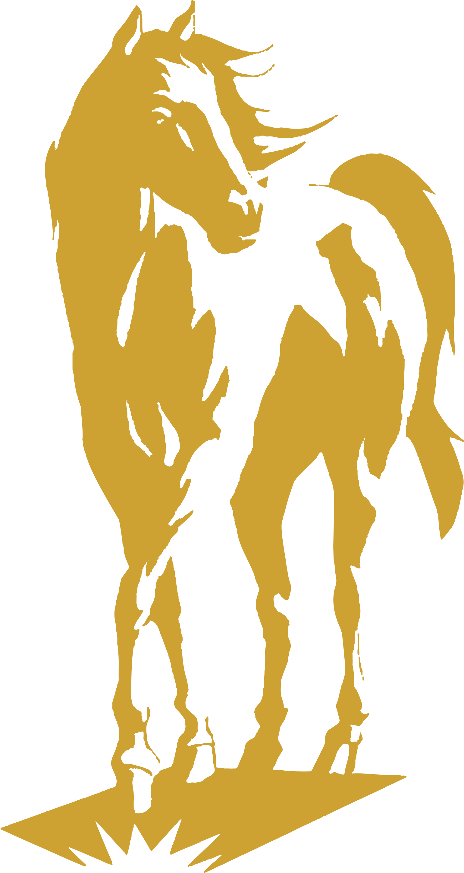 Ramelius Resources logo (transparent PNG)