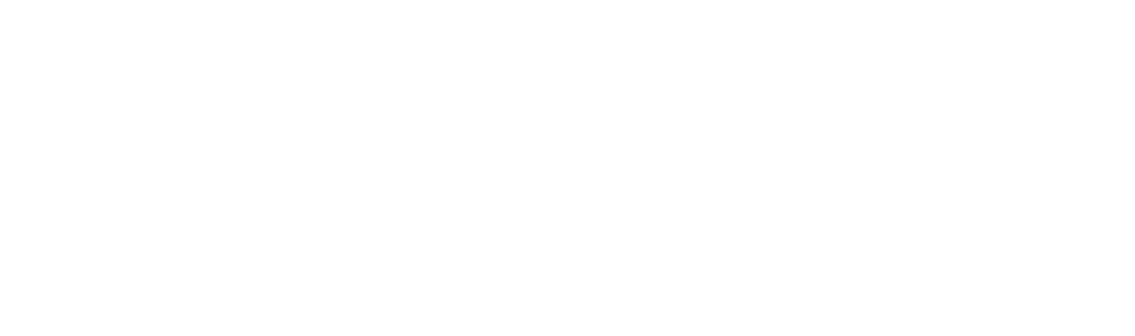 Roku logo large for dark backgrounds (transparent PNG)