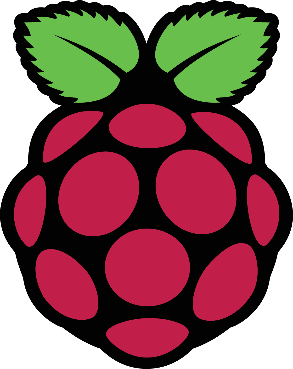 Raspberry Pi Logo (transparentes PNG)