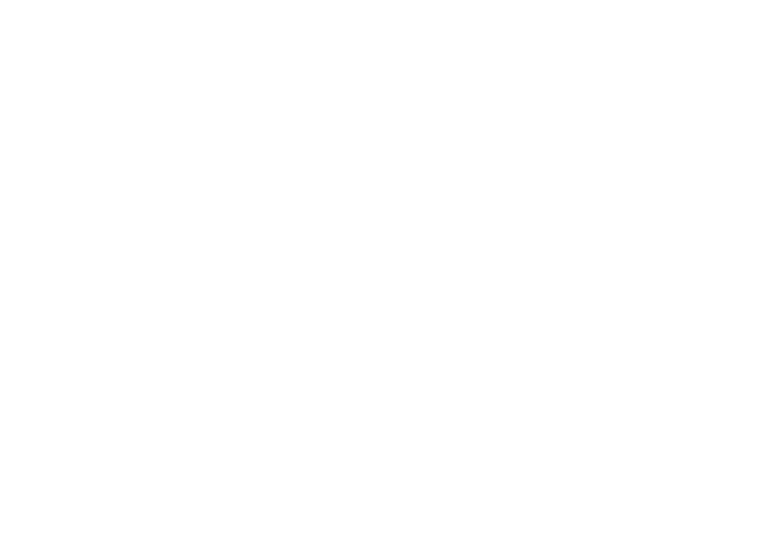 Riskified logo pour fonds sombres (PNG transparent)