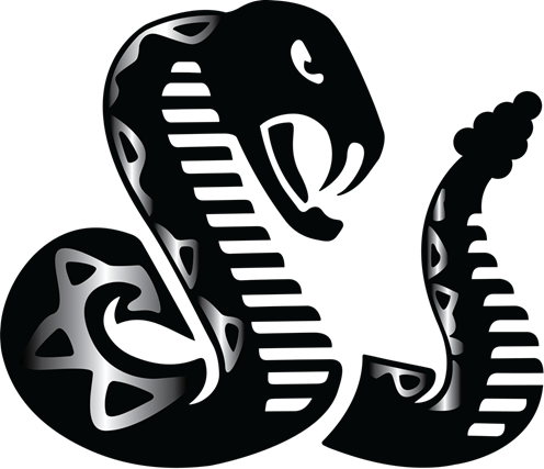 Rattler Midstream
 logo (transparent PNG)