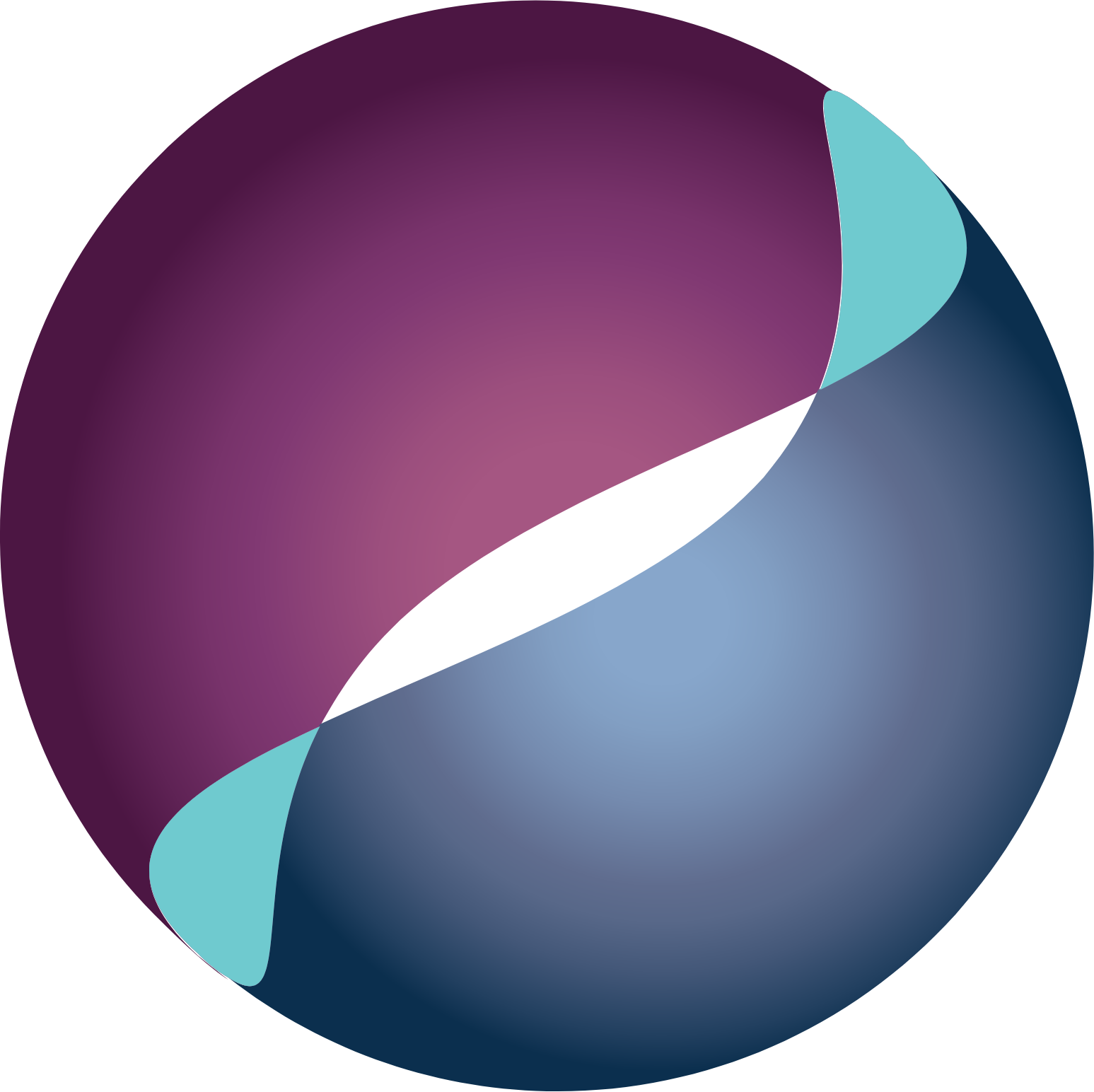 RxSight Logo (transparentes PNG)