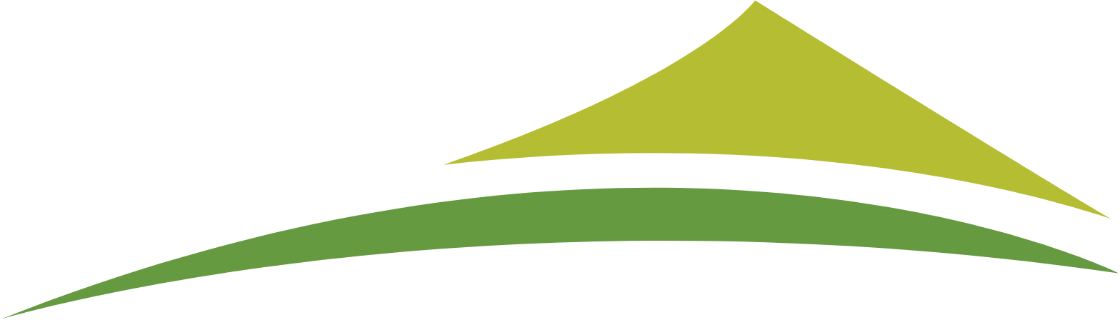 Rayonier logo (transparent PNG)
