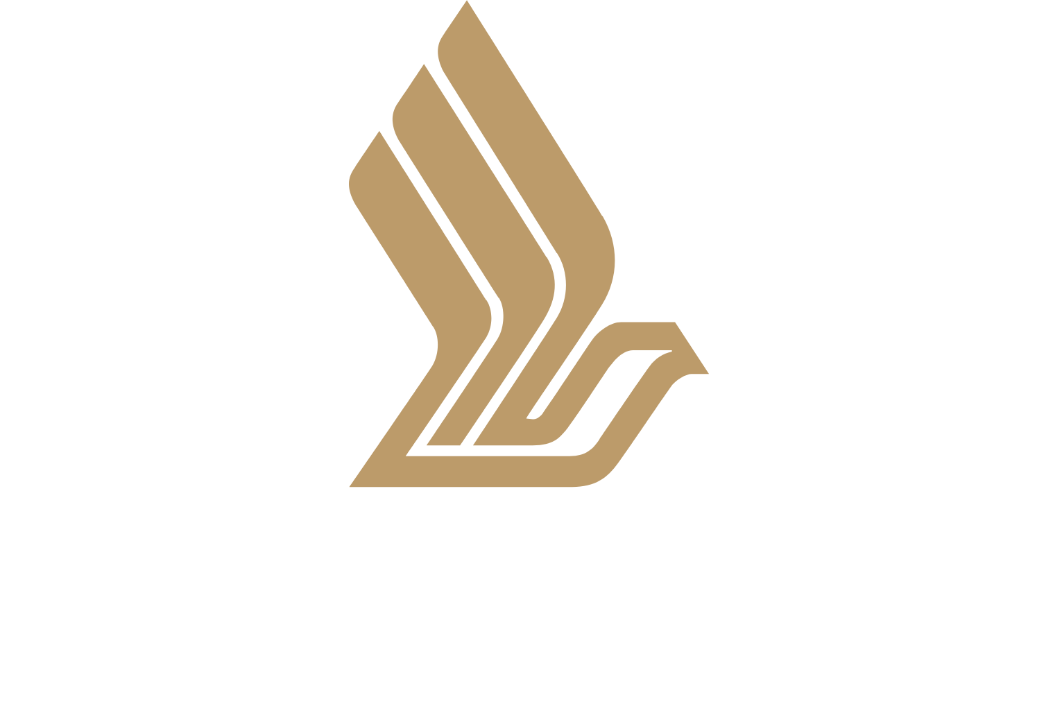 SIA Engineering Company logo grand pour les fonds sombres (PNG transparent)