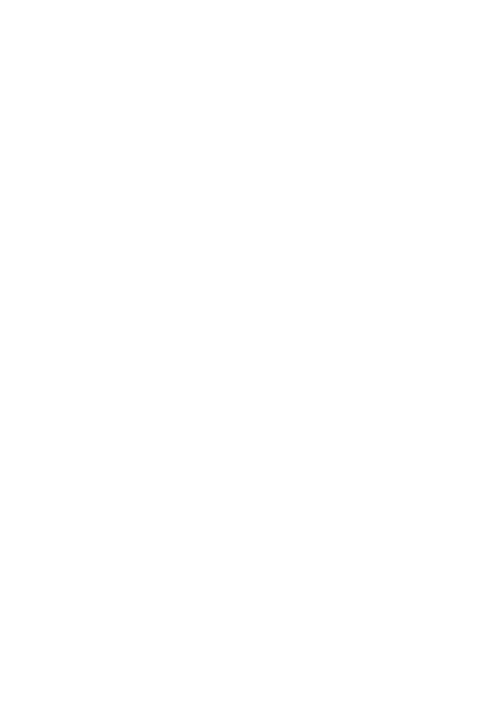 Stemmer Imaging Logo für dunkle Hintergründe (transparentes PNG)