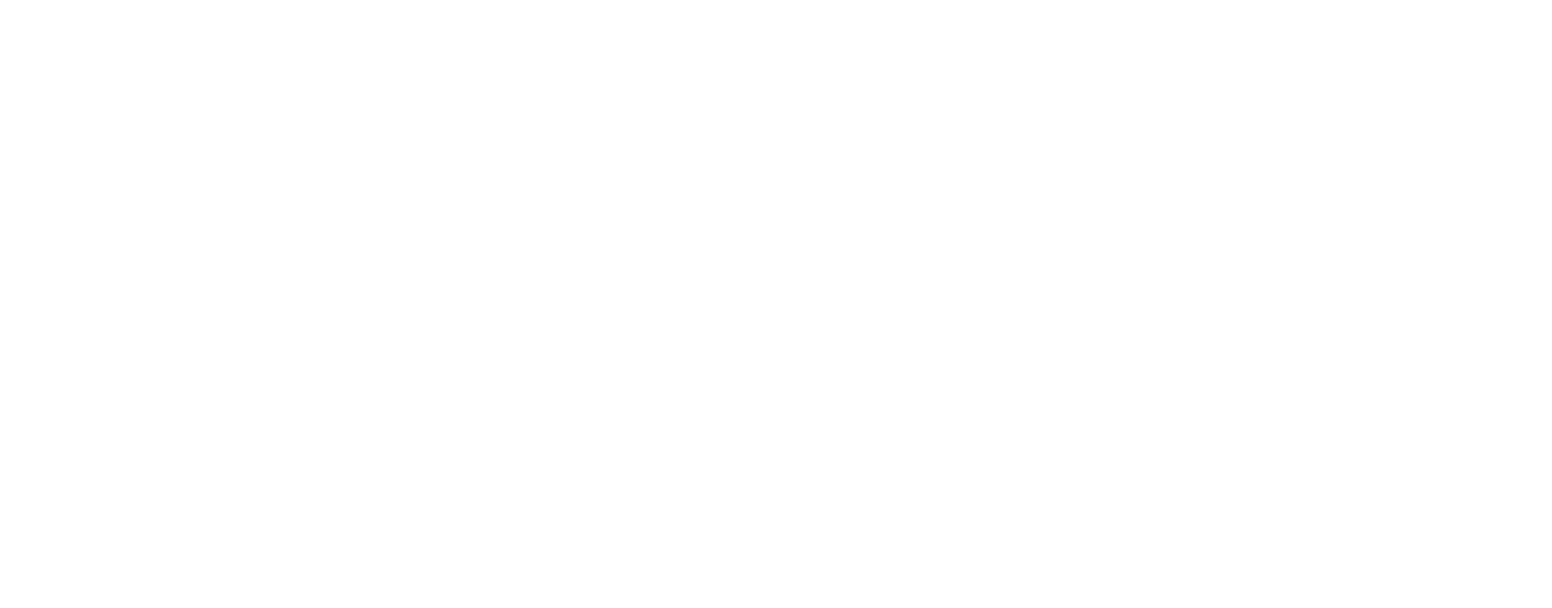 Stemmer Imaging Logo groß für dunkle Hintergründe (transparentes PNG)