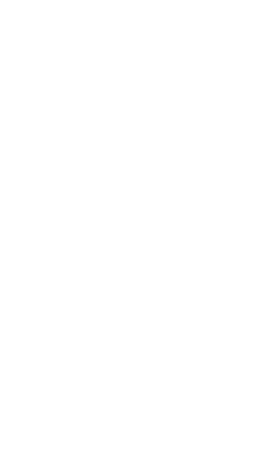 Safestore logo for dark backgrounds (transparent PNG)