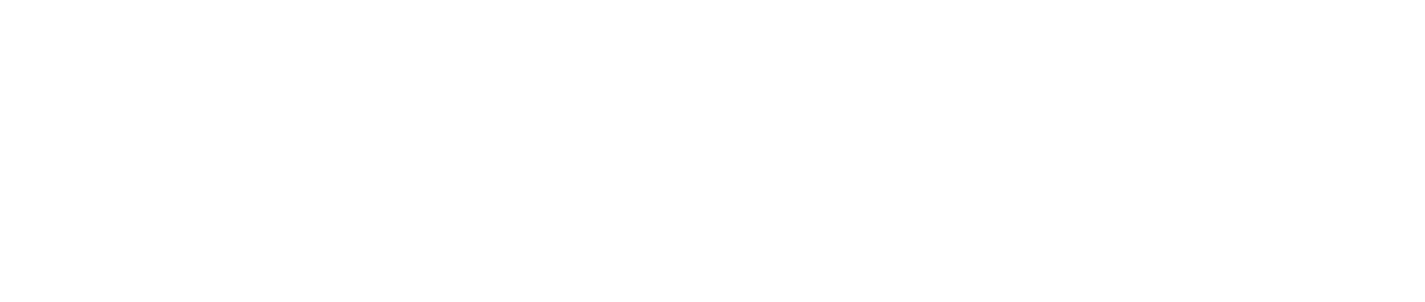 Safestore logo large for dark backgrounds (transparent PNG)