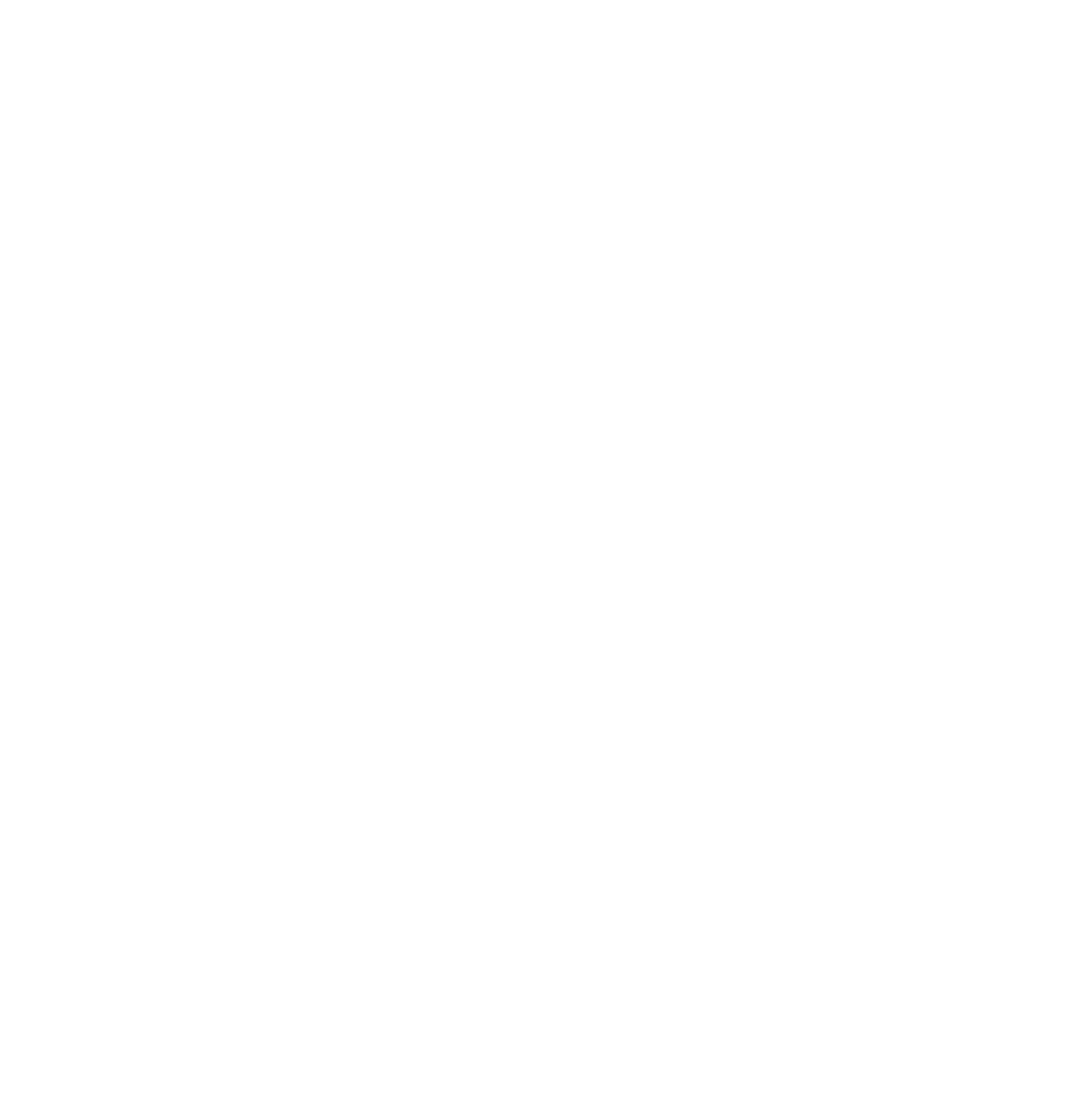 Safety Insurance
 logo for dark backgrounds (transparent PNG)