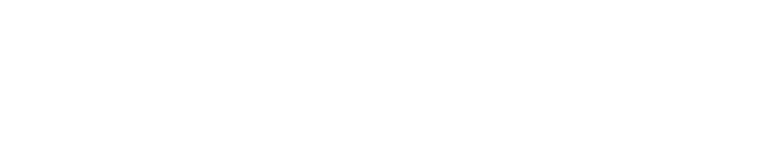 Safety Insurance
 logo large for dark backgrounds (transparent PNG)