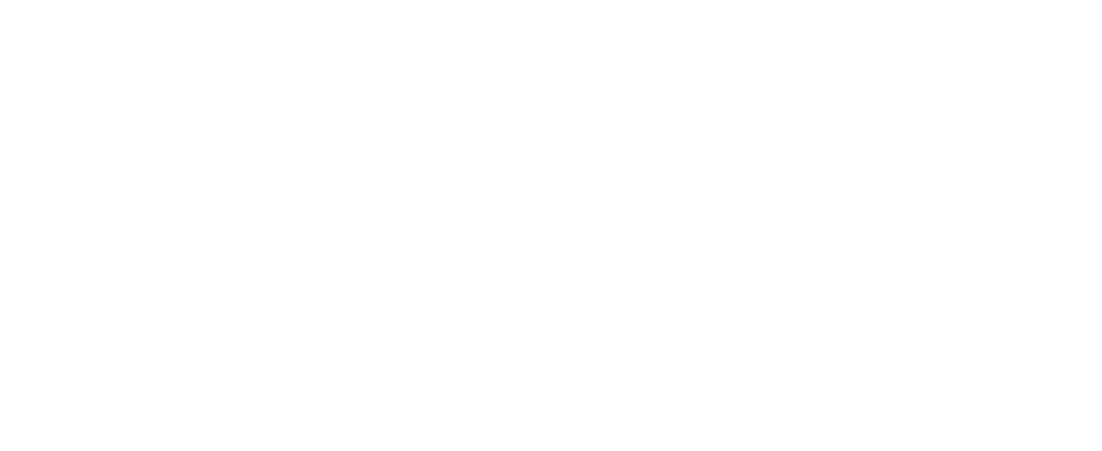 Saia
 logo for dark backgrounds (transparent PNG)