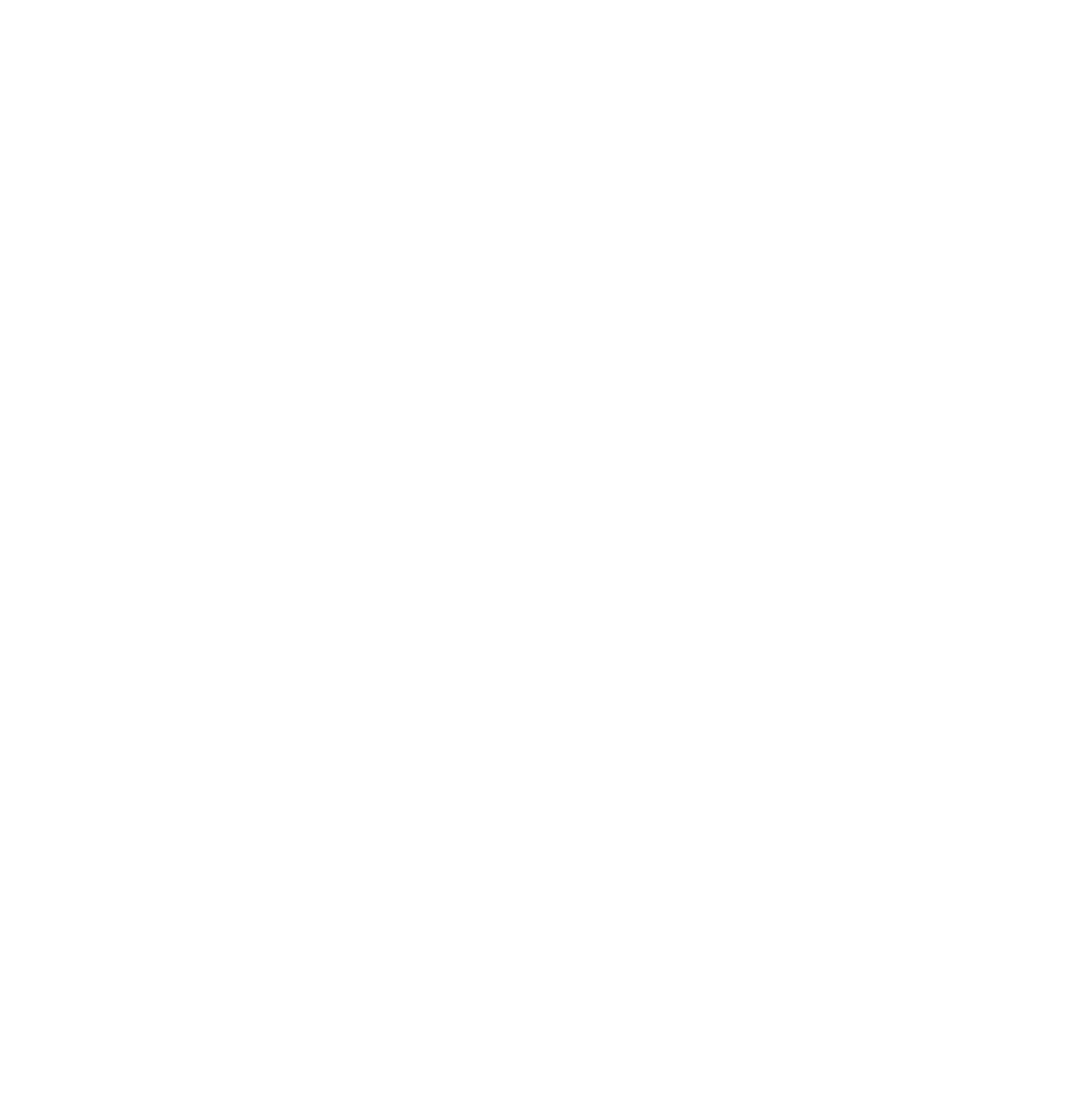 SailPoint Logo für dunkle Hintergründe (transparentes PNG)