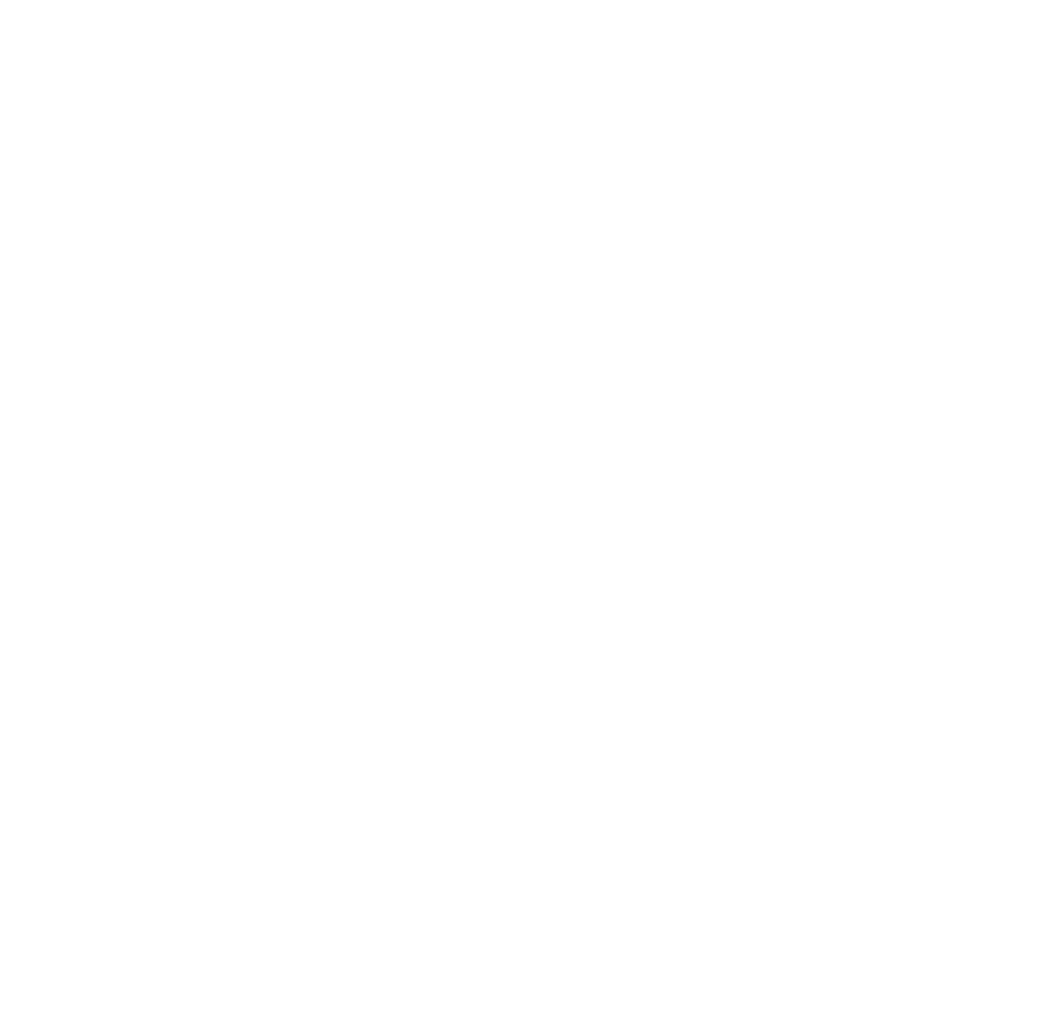 SailPoint logo on a dark background (transparent PNG)