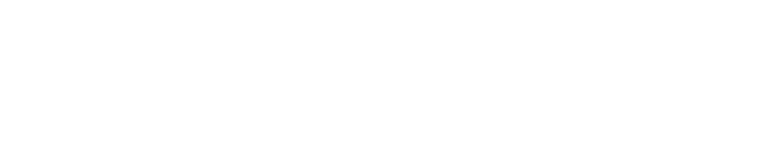 SailPoint logo grand pour les fonds sombres (PNG transparent)