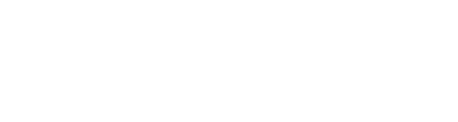 Groupe SAMSE Logo groß für dunkle Hintergründe (transparentes PNG)