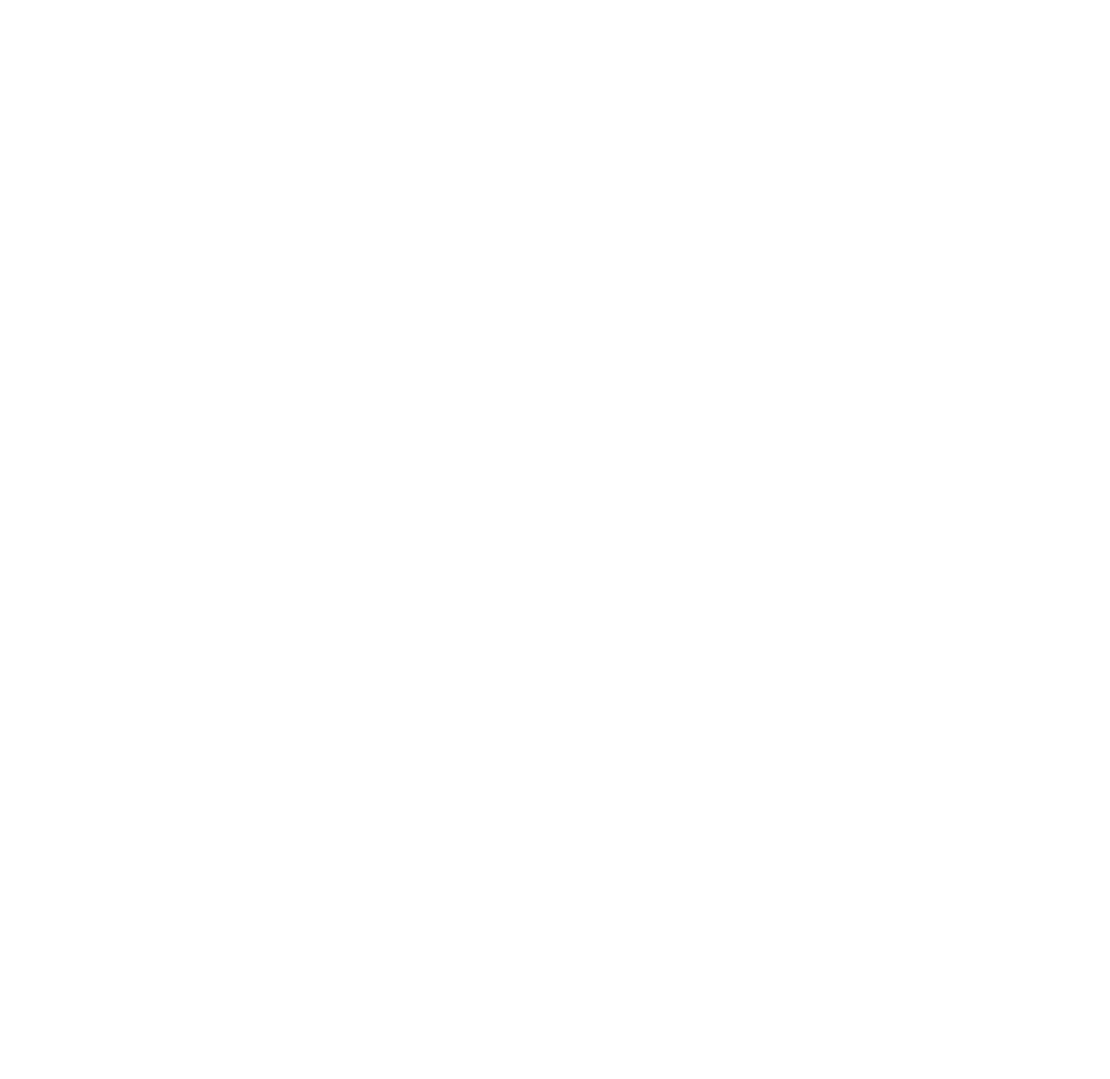Sandy Spring Bank logo for dark backgrounds (transparent PNG)