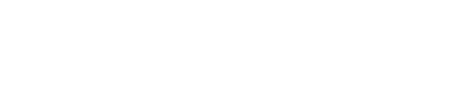 Sandy Spring Bank logo large for dark backgrounds (transparent PNG)