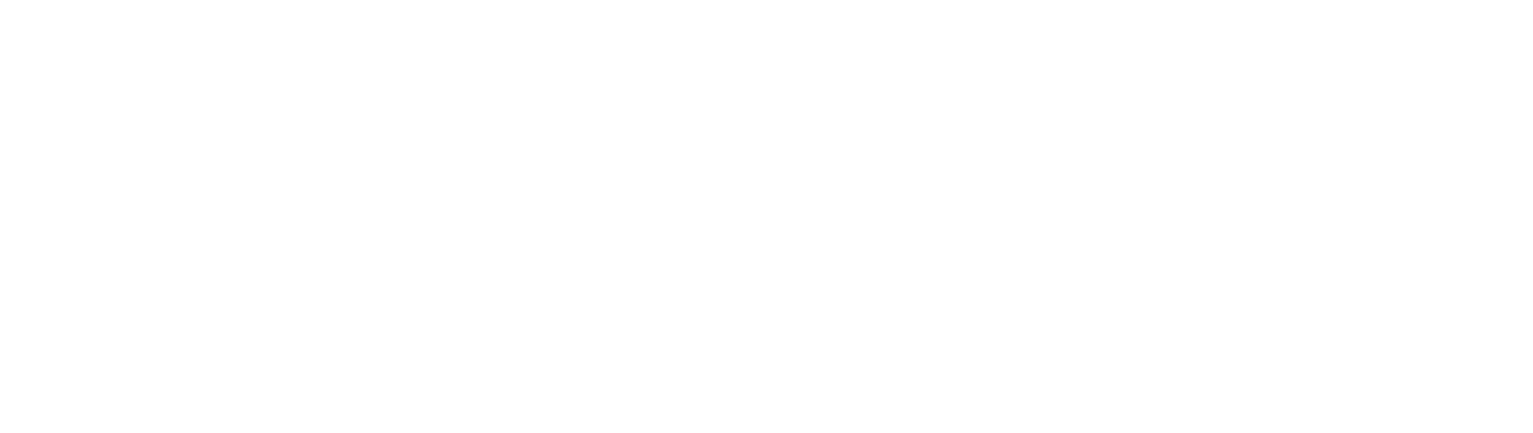 Satixfy Communications Logo groß für dunkle Hintergründe (transparentes PNG)