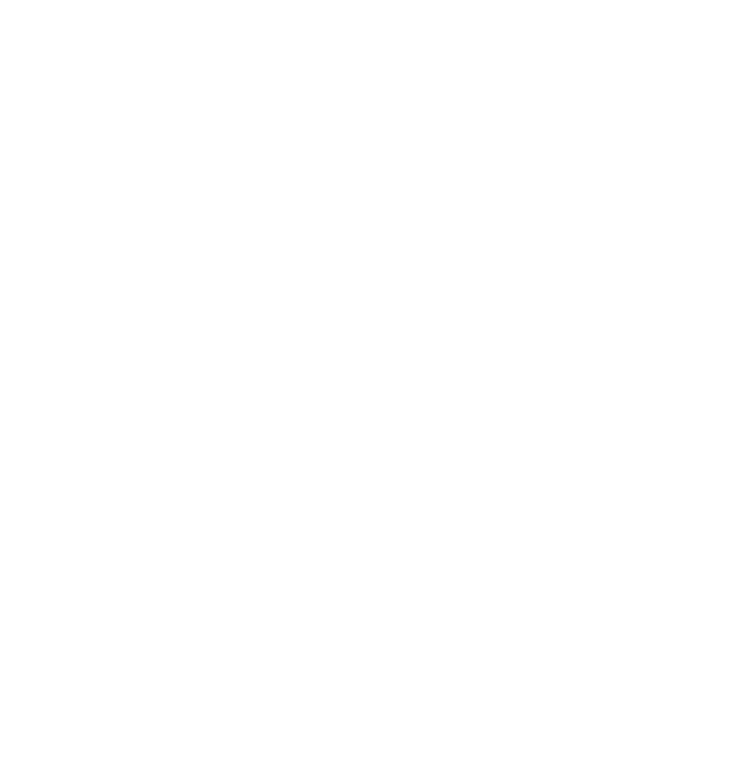 Ströer logo pour fonds sombres (PNG transparent)