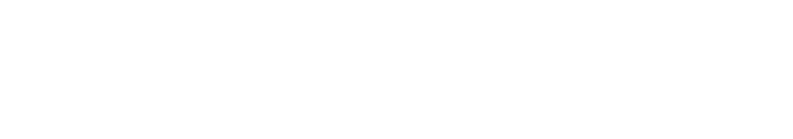 Seacoast Banking logo large for dark backgrounds (transparent PNG)