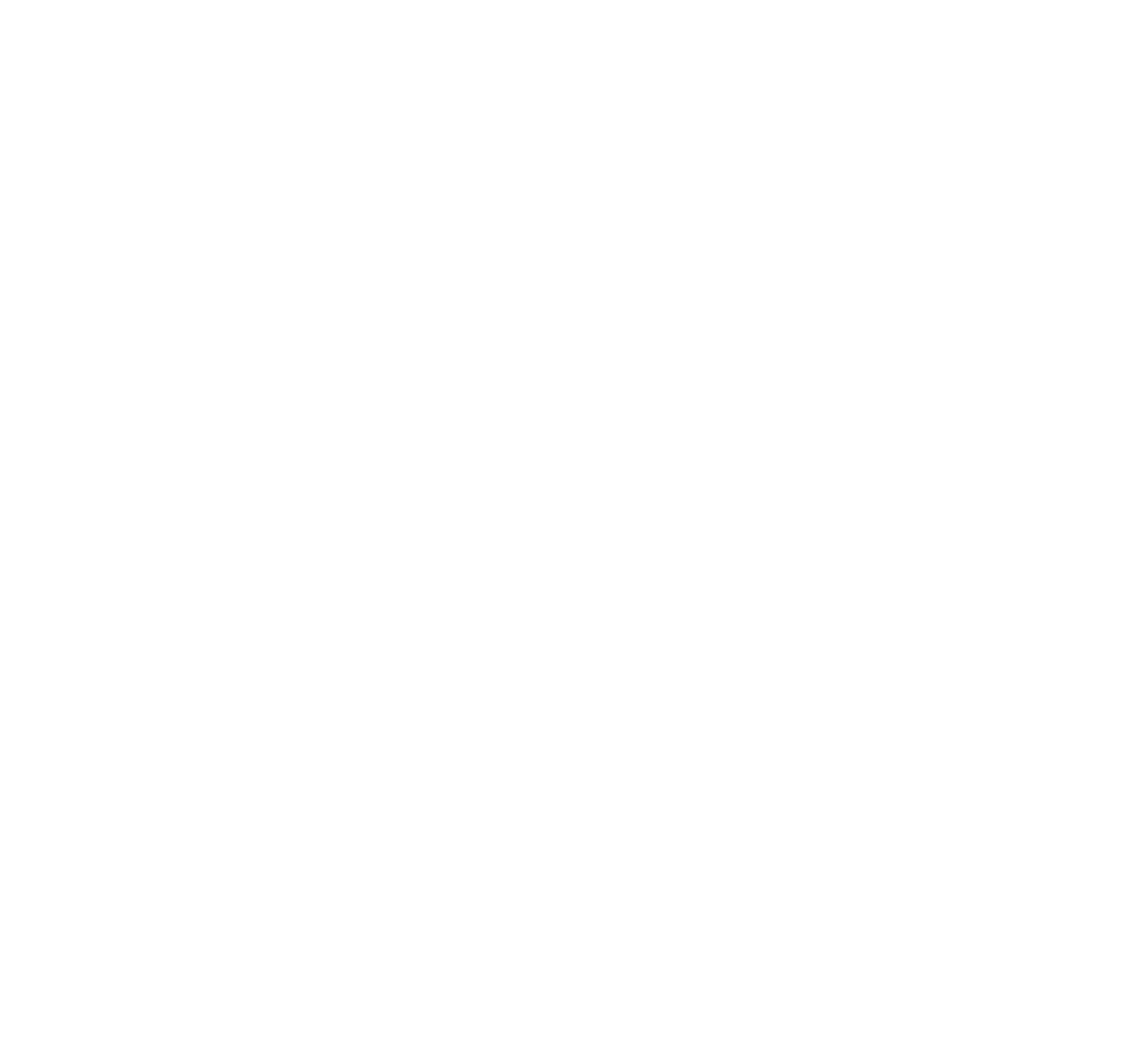 Scandi Standard AB logo pour fonds sombres (PNG transparent)