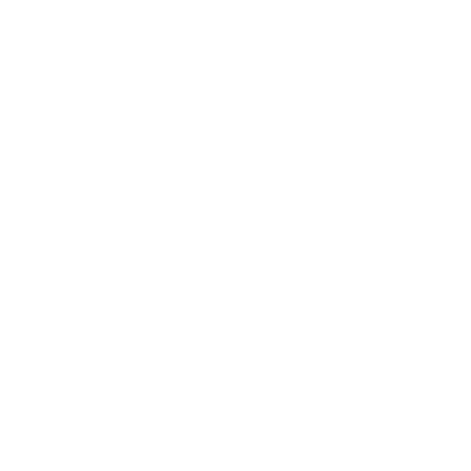 Steadfast Group  Logo für dunkle Hintergründe (transparentes PNG)