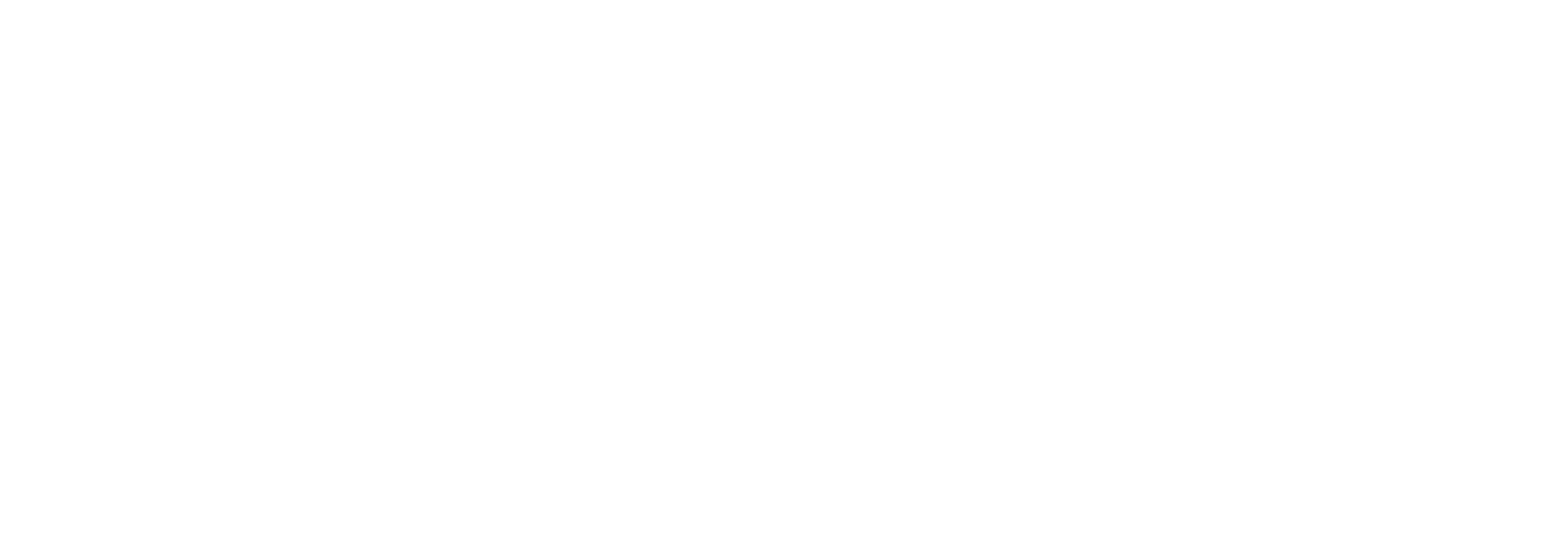 SergeFerrari Group logo fulle size on a dark background (transparent PNG)