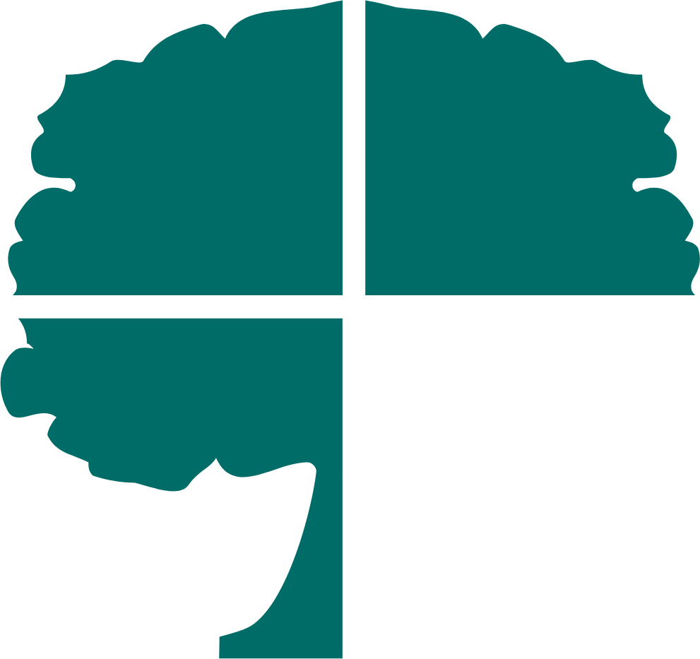 Select Medical Holdings Logo (transparentes PNG)