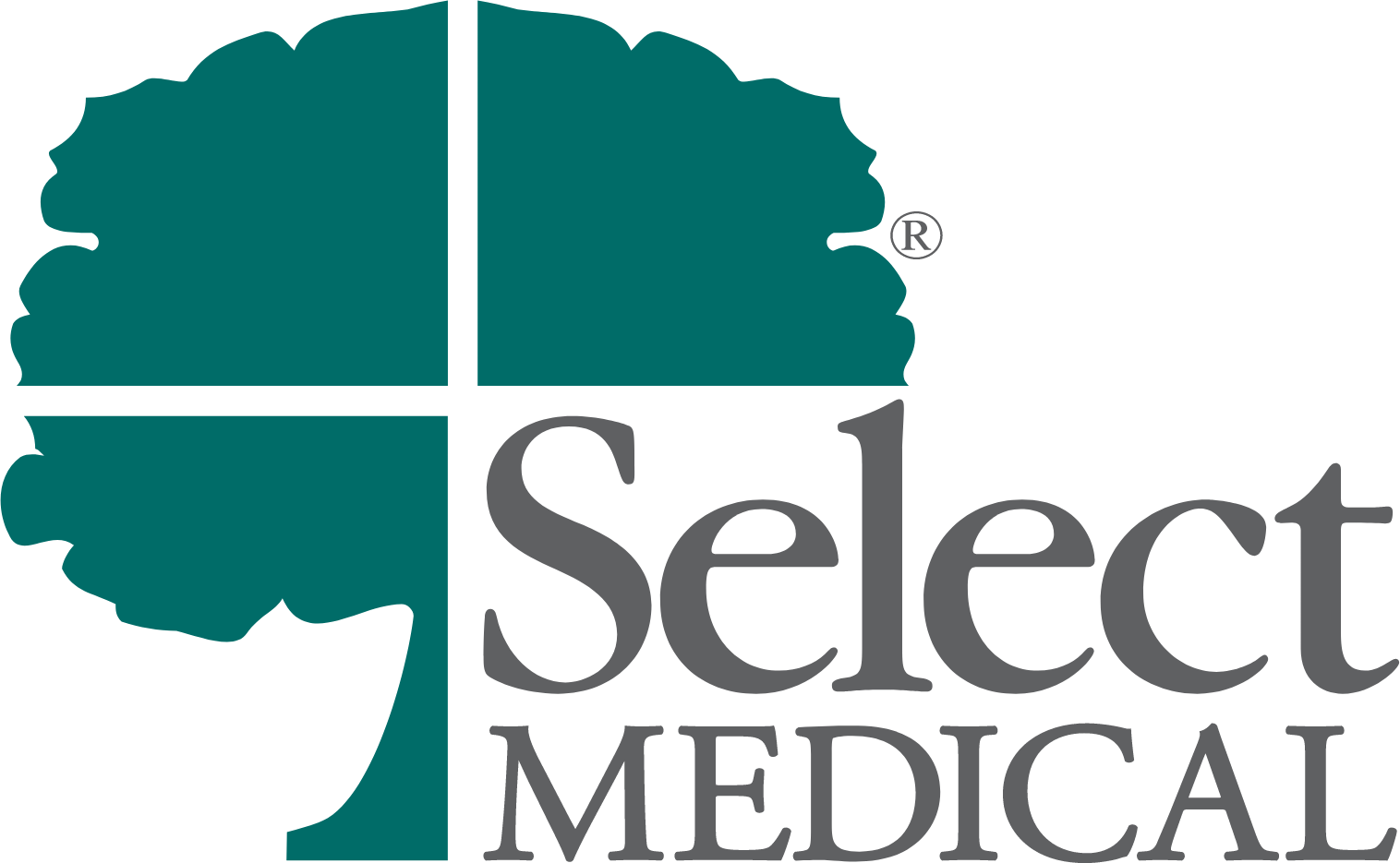 Select Medical Holdings logo large (transparent PNG)