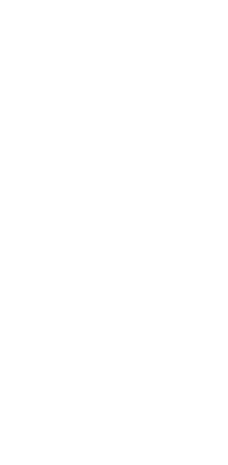 Stifel
 Logo für dunkle Hintergründe (transparentes PNG)