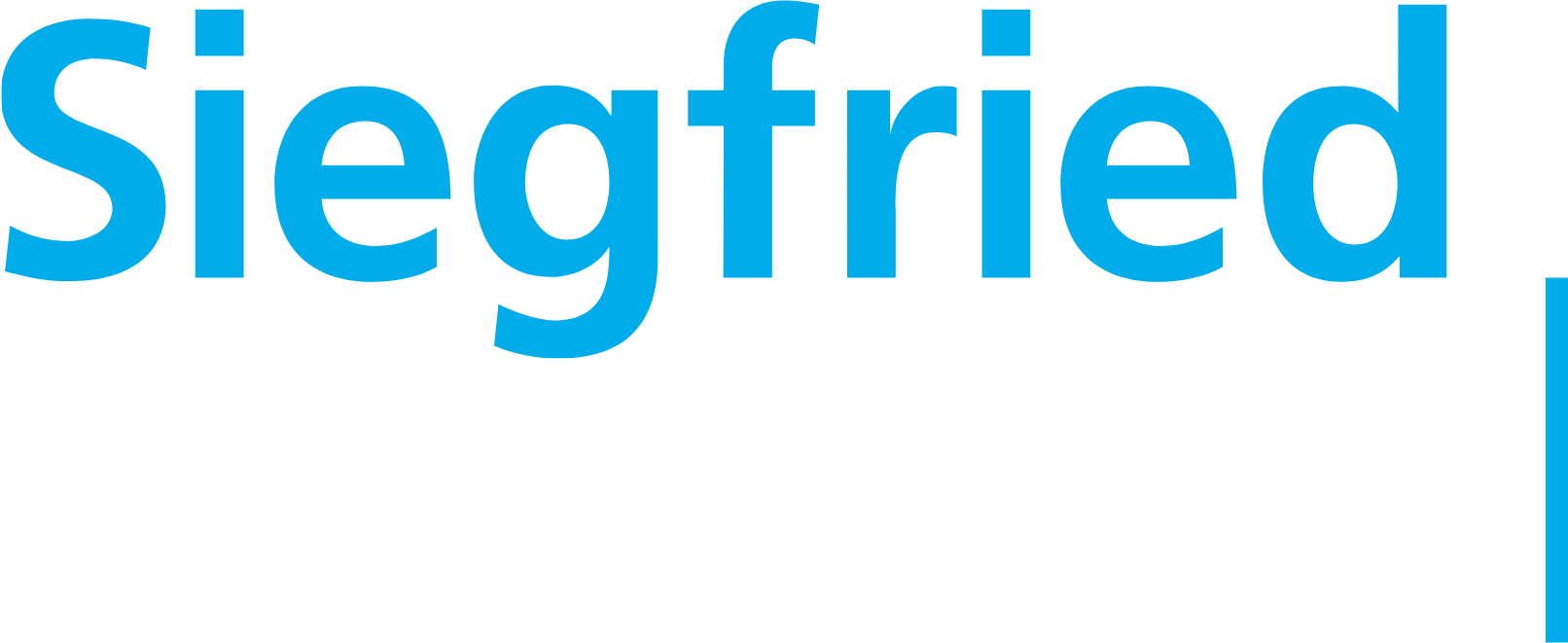 Siegfried Holding logo large (transparent PNG)