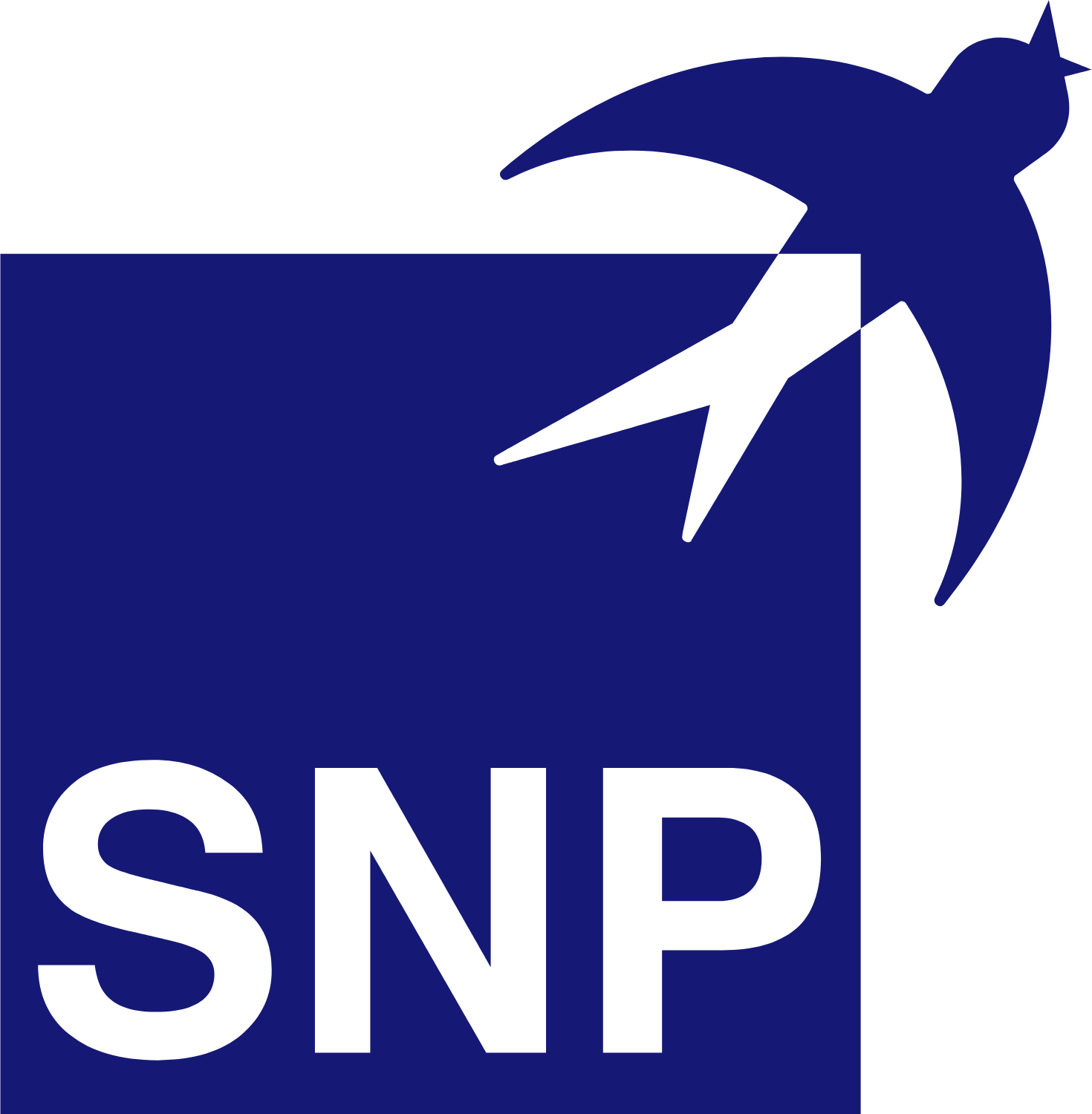 SNP Schneider-Neureither & Partner logo (transparent PNG)