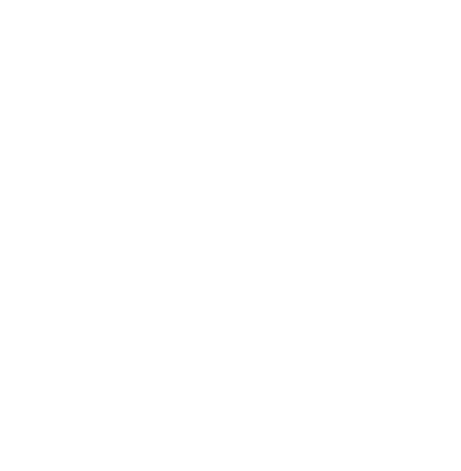 SNP Schneider-Neureither & Partner logo on a dark background (transparent PNG)