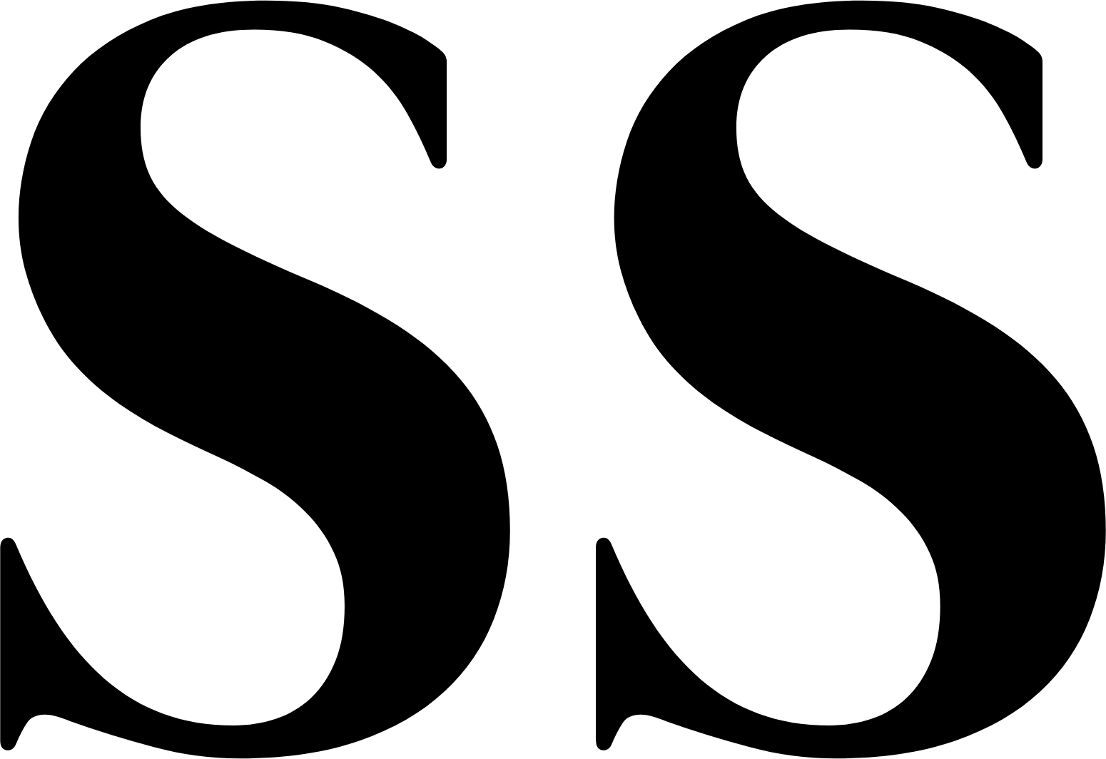 Shoe Station Group logo (transparent PNG)