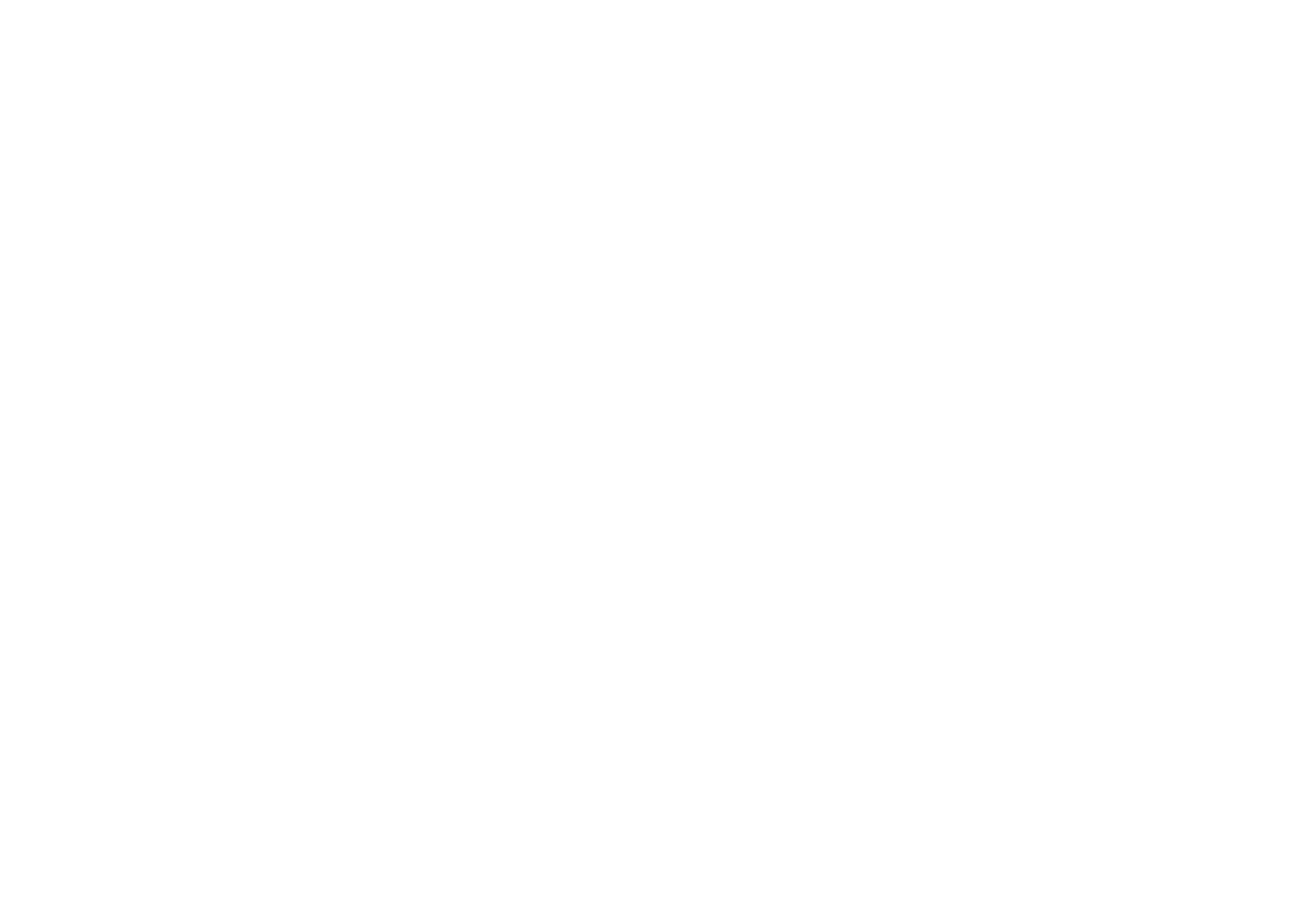 Shoe Station Group logo on a dark background (transparent PNG)
