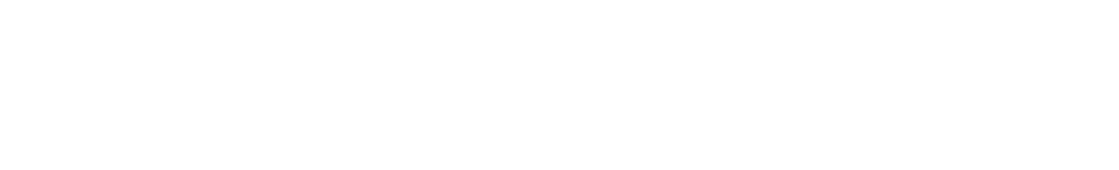 Steve Madden
 logo large for dark backgrounds (transparent PNG)