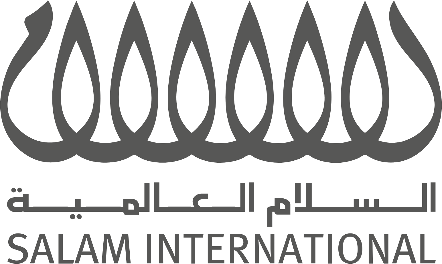 Salam International Investment logo large (transparent PNG)