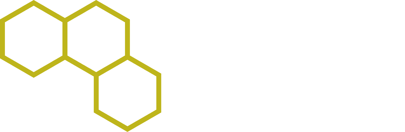 SINTX Technologies
 logo large for dark backgrounds (transparent PNG)