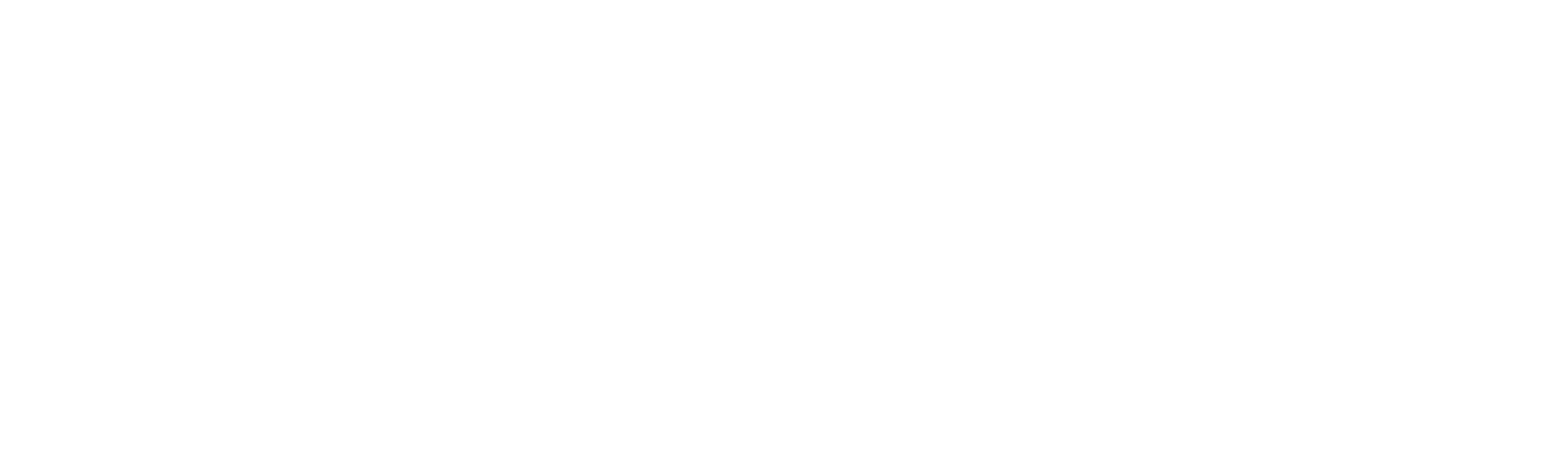 SKAN Group Logo für dunkle Hintergründe (transparentes PNG)