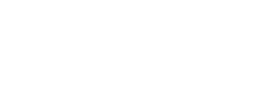 SkyWest logo for dark backgrounds (transparent PNG)