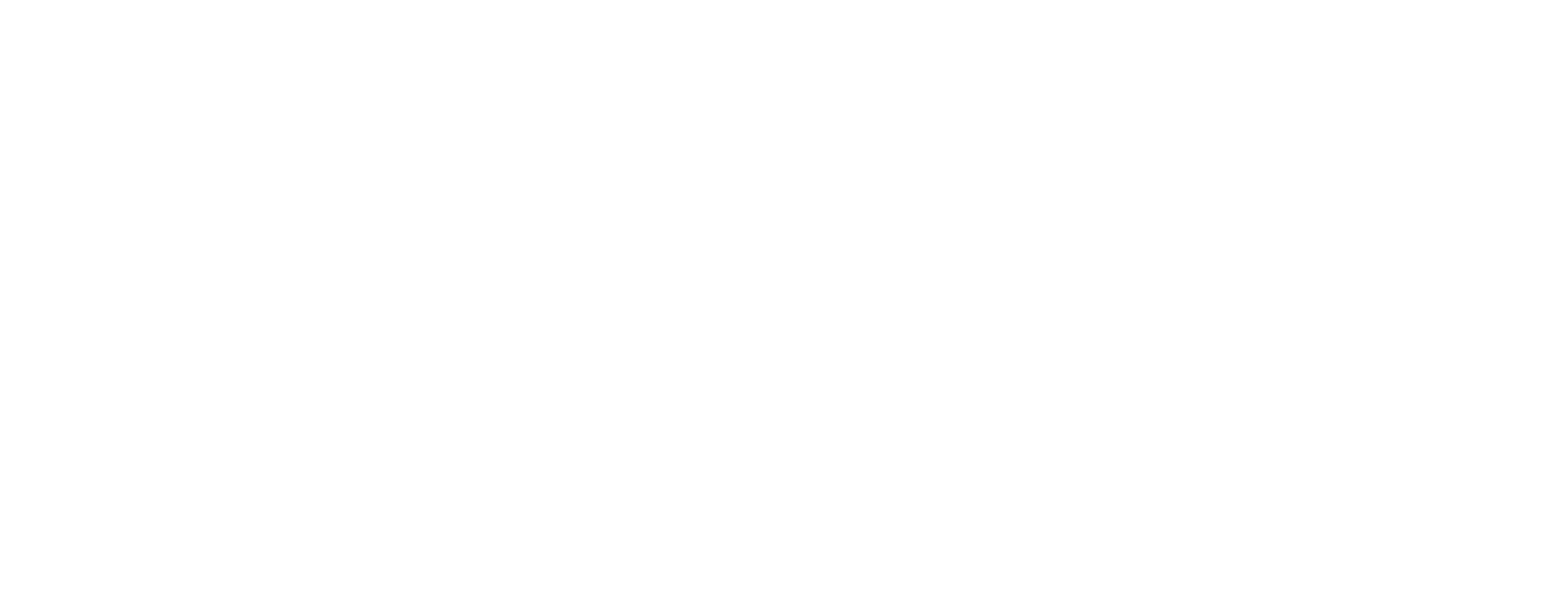 Sallie Mae logo large for dark backgrounds (transparent PNG)
