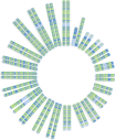 Soleno Therapeutics logo (PNG transparent)