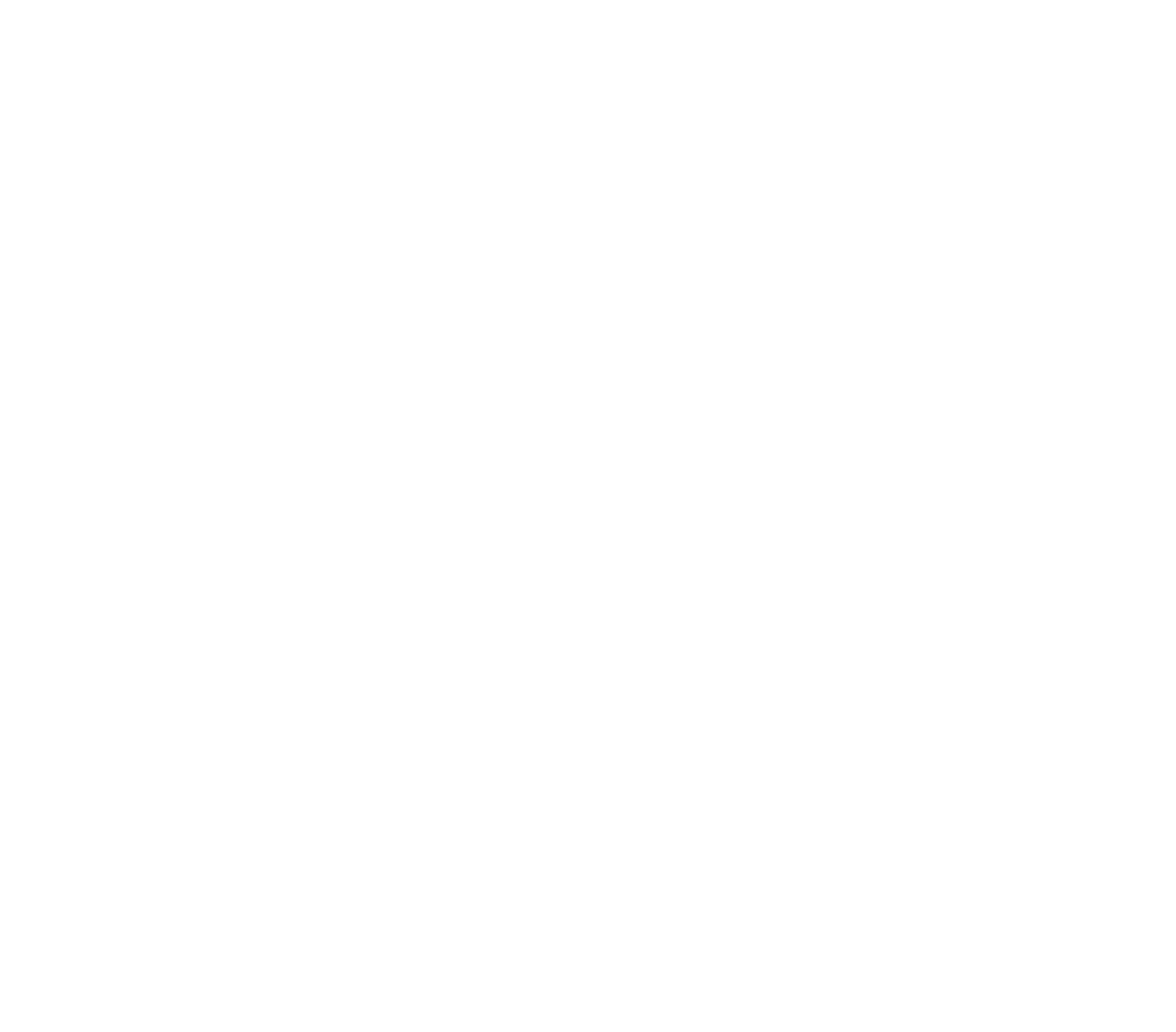 SLR Investment logo pour fonds sombres (PNG transparent)